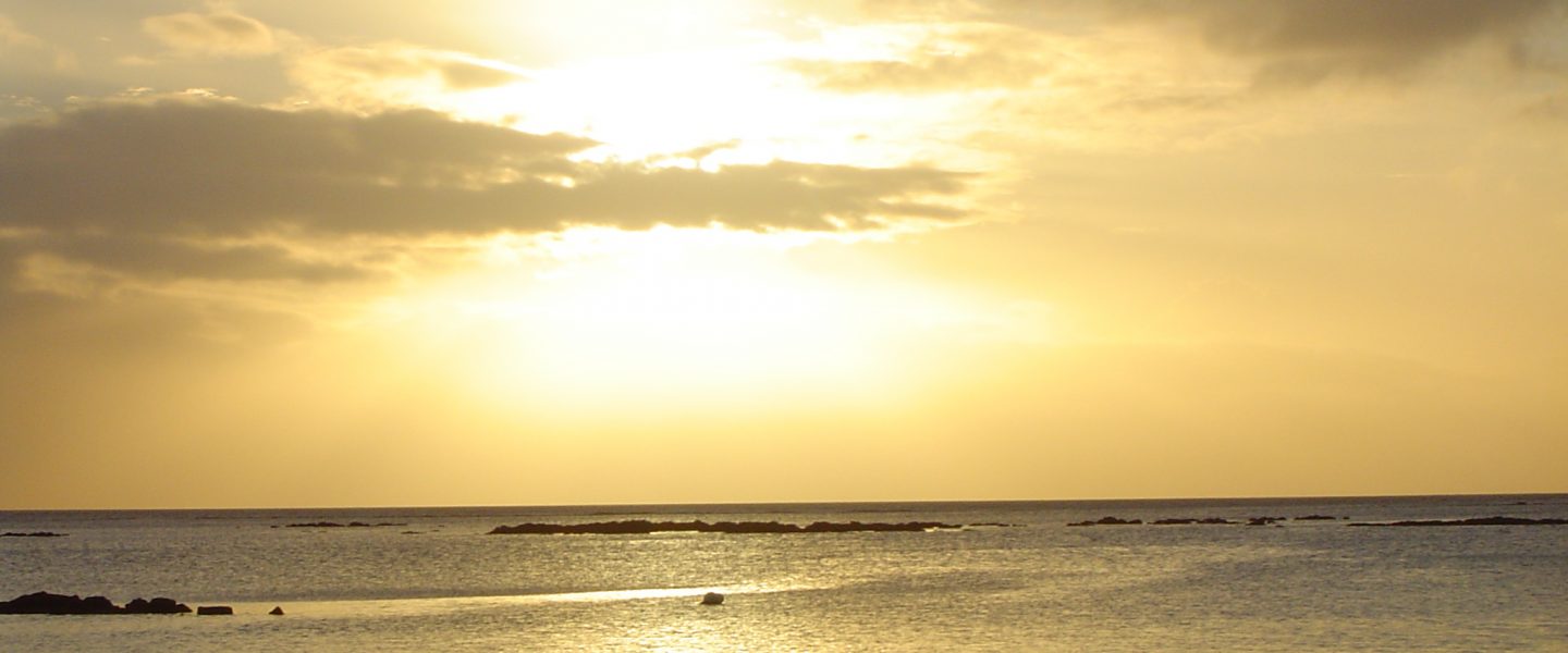 cropped-dsc01541-1.jpg